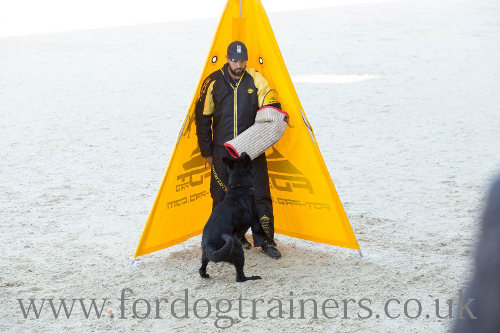 dog training blind for schutzhund